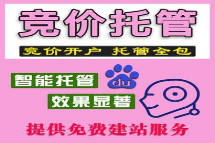 网络推广开户全流程解析：成功案例揭秘