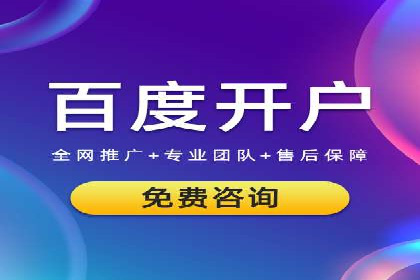 百度竞价代理操作手册：成功案例分析
